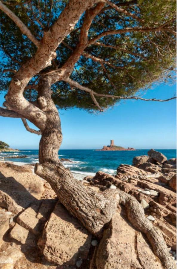 Le Petit Semaphore Saint-Raphaël エクステリア 写真